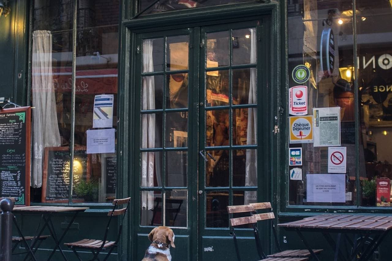 5-restaurant-management-tips-to-improve-the-way-you-work-1701695056-8382.png