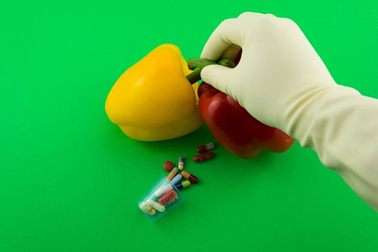 food handling glove disposable vinyl latex nitryl kitchen food safety