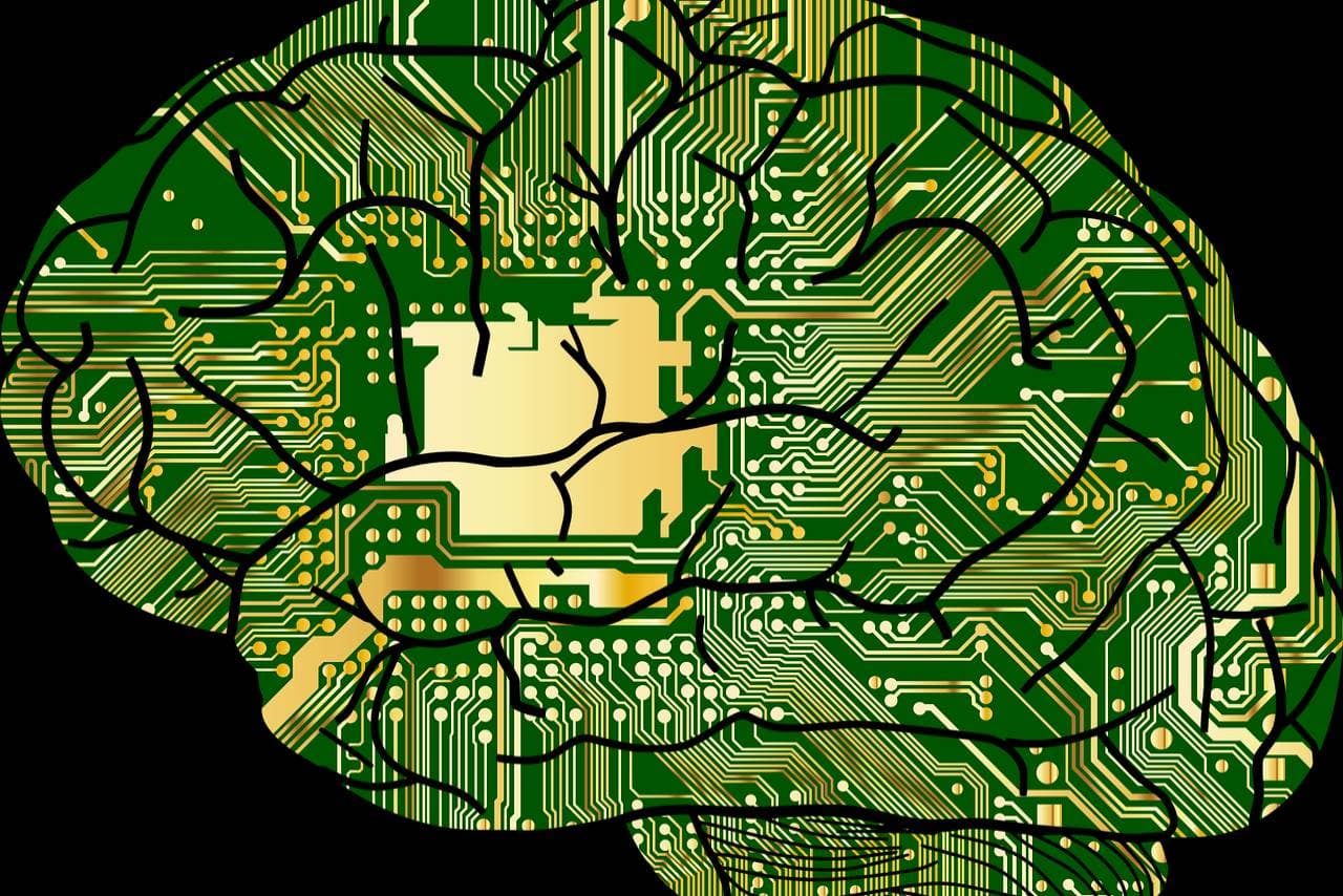 is-this-paneras-first-foray-into-automation-1663738848-3878.png