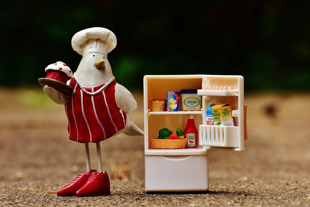 what-are-cdc-food-safety-guidelines-1649069347-7281.png